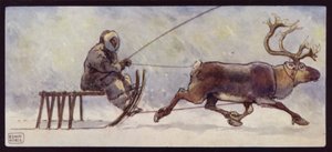 A Lapp and Reindeer Sledge