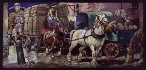 Clydesdale Horses at Work