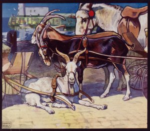 Goat-Carts