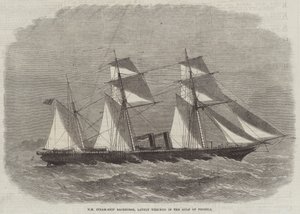 HM Steam-Ship Racehorse, lately wrecked in the Gulf of Pecheli