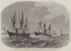 Wreck of the Steamer Hydaspe on the Pan Shoal Rhio Strait, near Singapore