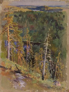 Forest Landscape