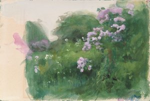 Lilac Bush
