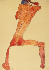 Mannerruckenhaut