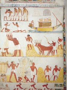 Boat and Scenes of Harvest (detail) by Egyptian 18th Dynasty