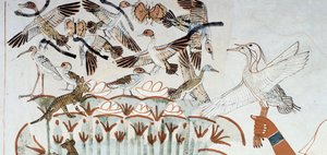 Ducks, nests, butterflies, cats and rodents, (detail) from the scene of hunting and fishing in the marshes, fresco, north wall, longitudinal chamber, Theban Tomb TT69, Sheikh Abd el-Qurna, Thebes. Egyptian civilization, New Kingdom, Dynasty XVIII by Egyptian 18th Dynasty
