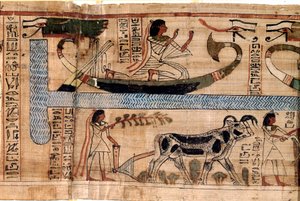 Egyptian antiquity: the name of the late Aner represents on the boat of Osiris, scene of plowing and weighing of souls (psychostasis). Papyrus from a Book of the Dead, 20th dynasty, from Thebes. Turin, Egyptian museum by Egyptian 18th Dynasty