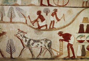 Labours of the Field by Egyptian 18th Dynasty