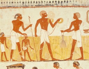 Measuring the Land Using Rope, from the Tomb Chapel of Menna, New Kingdom