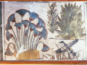 Duck Between Plants, from Palace of Akhenaton, El-Awara, Egypt by Egyptian 18th Dynasty