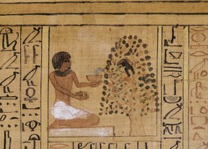 Tree-goddess offers vivifying waters to the deceased by Egyptian 18th Dynasty