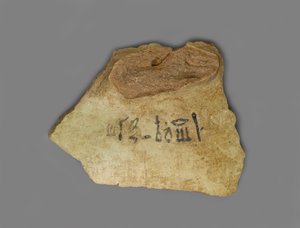 Wine Label, Found in the Palace of Amenhotep III, Thebes, New Kingdom