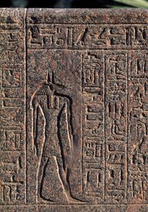 Depiction of Anubis (detail)