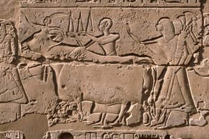 Detail of a relief depicting men leading a cow, Ramesses II (1298-32 BC) courtyard by Egyptian 19th Dynasty