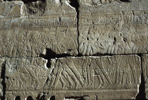 Relief, Temple of Amun, Luxor, Ancient Thebes (UNESCO World Heritage List) by Egyptian 19th Dynasty