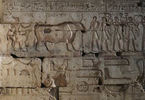 Relief, Temple of Ramses II, Abydos, Egypt