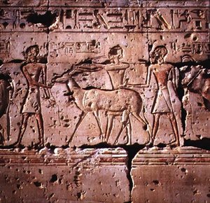 Relief Depicting Oryx Being Led in Procession for Sacrifice, from the Temple of Ramesses II