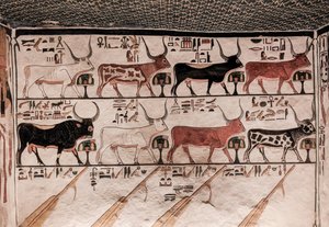 Tomb of Nefertari