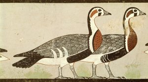 Meidum geese, from the Tomb of Nefermaat and Atet, Old Kingdom, c.2620 BC by Egyptian 4th Dynasty
