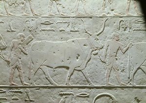 Herdsman leading a bull (detail)