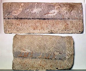 Wall Painting Depicting Birds, Old Kingdom