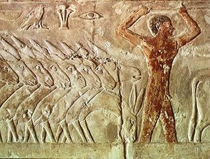 Troop of Donkeys, from the Mastaba of Mereruka, Old Kingdom