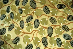 Ancient Egypt, Grapevine ceiling, Tomb of Sennufer, Thebes, Luxor by Egyptian Egyptian