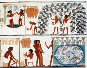 Picking and Treading Grapes by Egyptian Egyptian