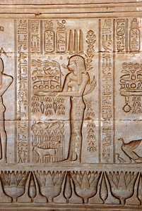 Representation of a young woman bringing offerings as homage to the goddess, Temple of Hathor, Denderah, Egypt by Egyptian Ptolemaic Period