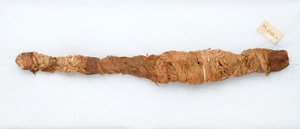 Mummy of a crocodile, found in Manfalont, 305-30 BC by Egyptian Ptolemaic Period