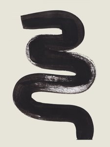 Wavy Black Stroke