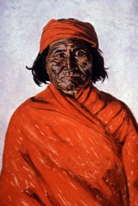 Geronimo, c.1900