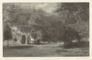 New England Elms by Elbridge Kingsley