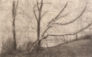 Untitled by Elbridge Kingsley