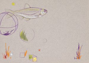 Floating, 2014