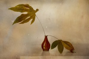 Golden Leaf Still Life