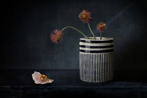 Moody Spiky Flowers by Elena Arjona
