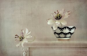Passionflower Still Life