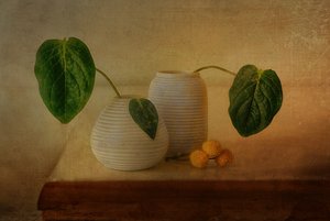 Quiet Botanical Arrangement