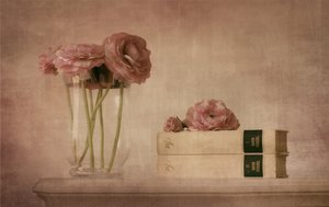 Soft Pink Ranunculus Still Life