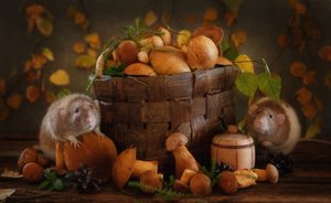 Autumn Mushroom Friends by Eleonora Grigorjeva