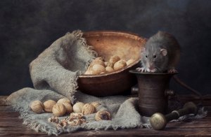Rustic Rat and Walnuts by Eleonora Grigorjeva