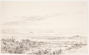 Hilly Heathland with Two Foxes