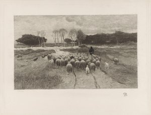 Shepherd by Elias Stark