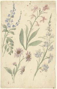 Four Studies of Pink and Blue Flowers