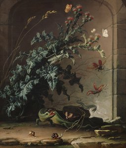 Stone Niche with Thistle, Lizard and Insects