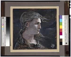 Head of Medusa