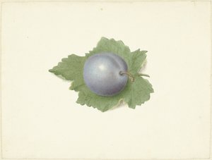 Plum on a Leaf