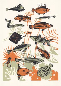Orange Seaweed Fish