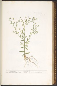 Plate 103, from 